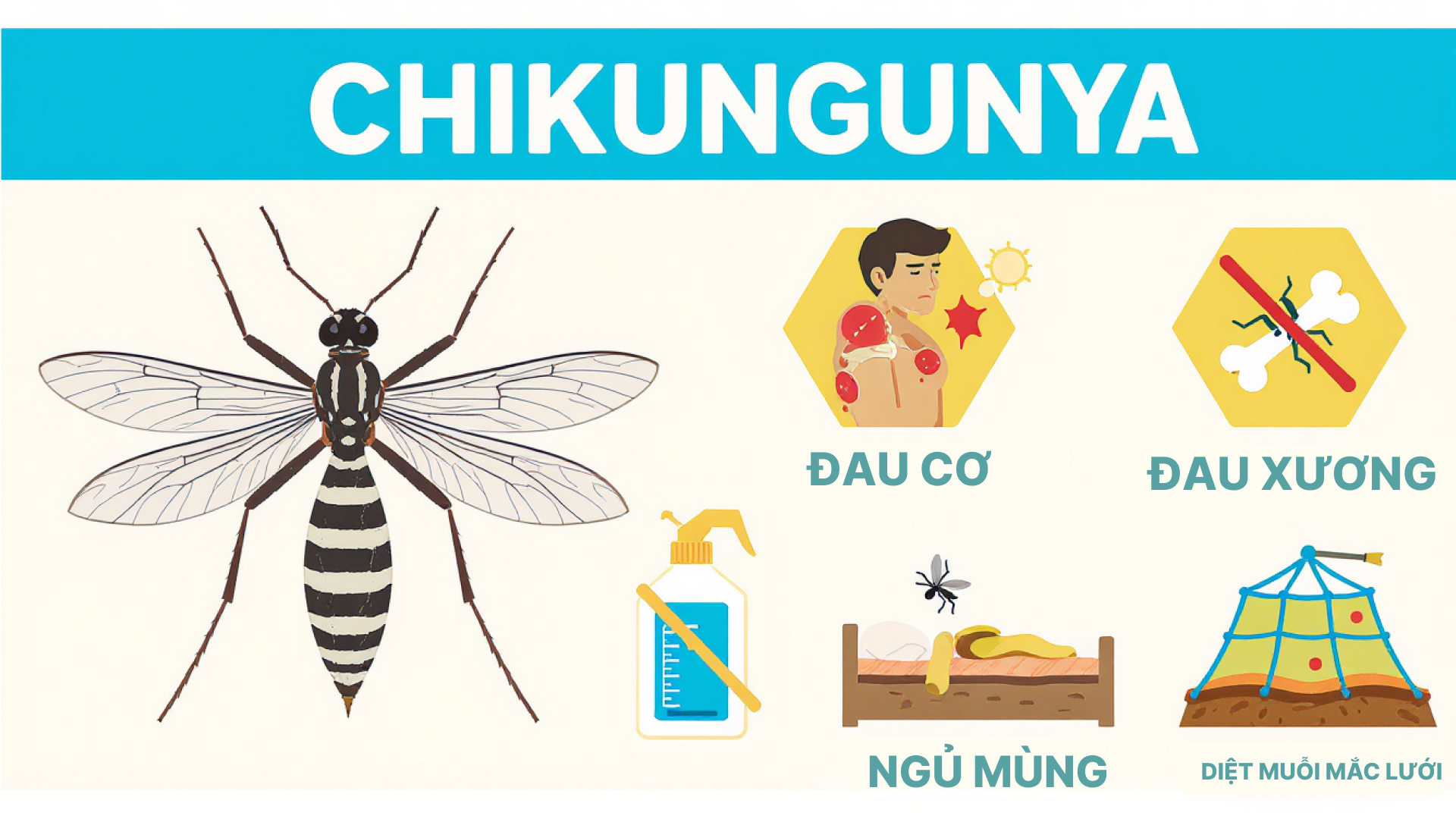 Các biện pháp phòng chống bệnh Chikungunya