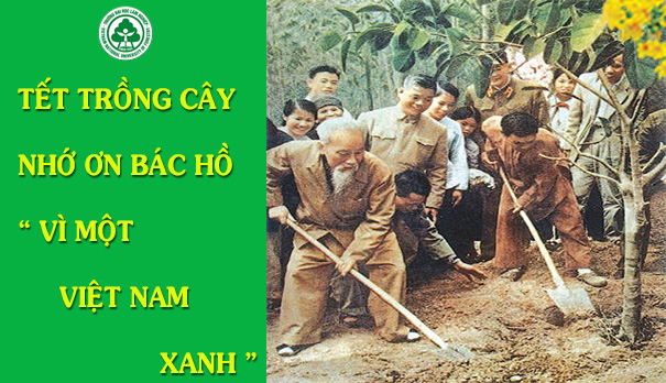 Ý nghĩa Tết trồng cây “Đời đời nhớ ơn Bác Hồ”